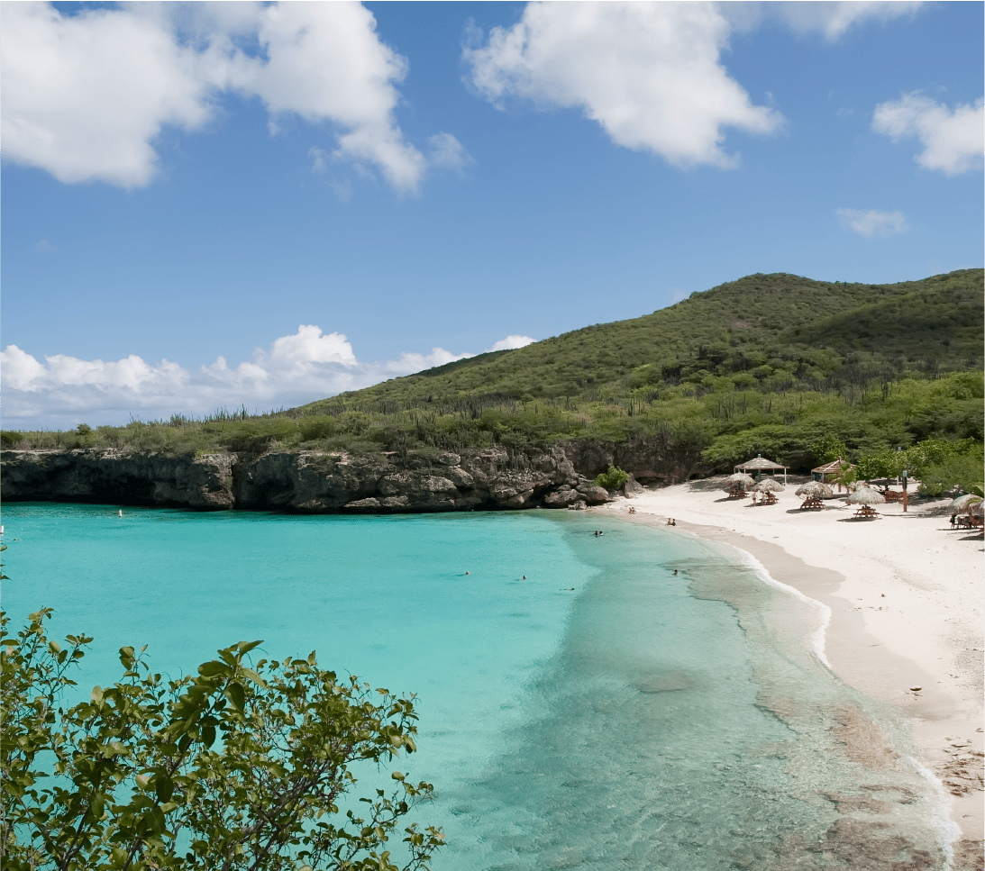 Mesa de trabajo 1 copia 17@3x