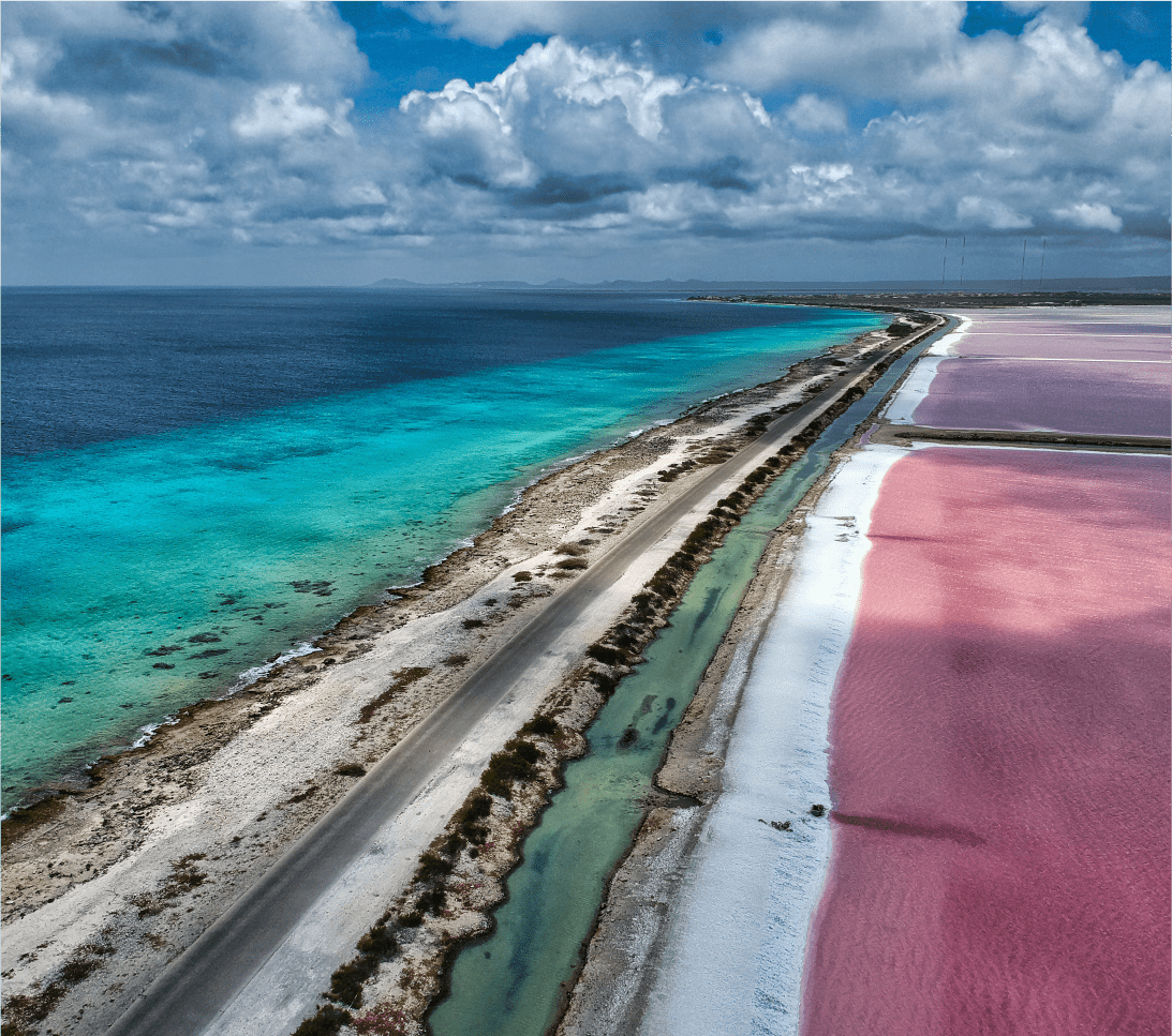 Mesa de trabajo 1 copia 19@3x