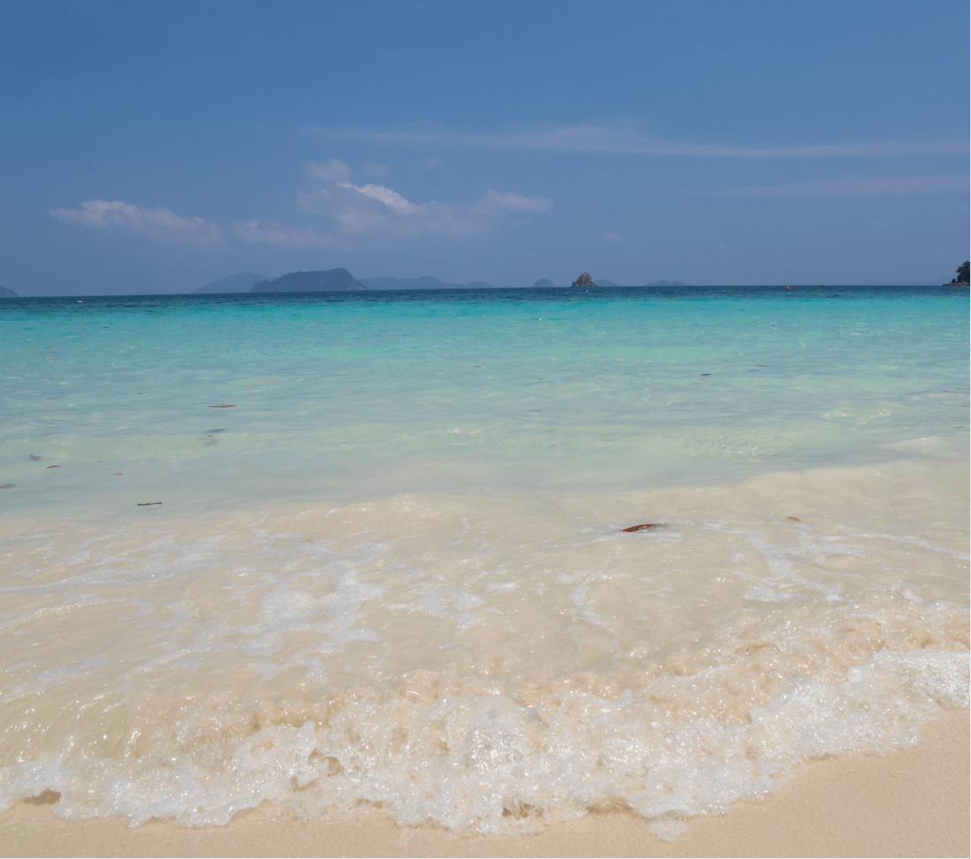 Mesa de trabajo 1 copia 21@3x