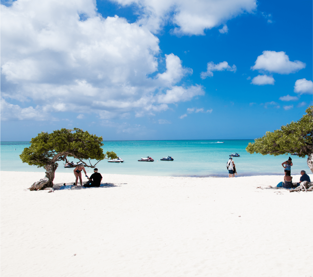 Mesa de trabajo 1 copia 7@3x