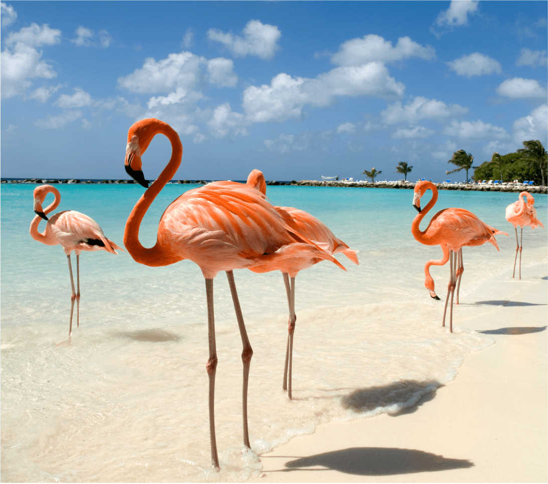 Mesa de trabajo 1 copia 9@3x